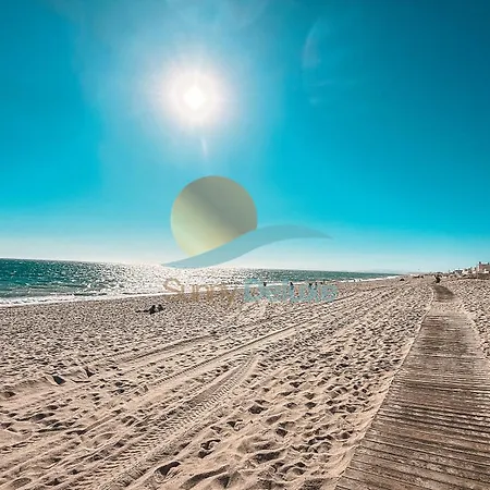 Spot Da Ilha By Sunny Deluxe